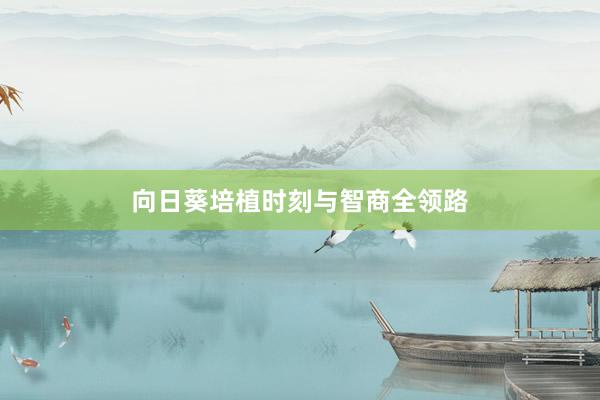 向日葵培植时刻与智商全领路