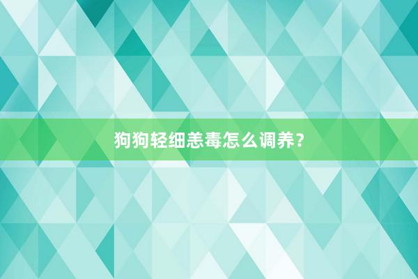 狗狗轻细恙毒怎么调养？