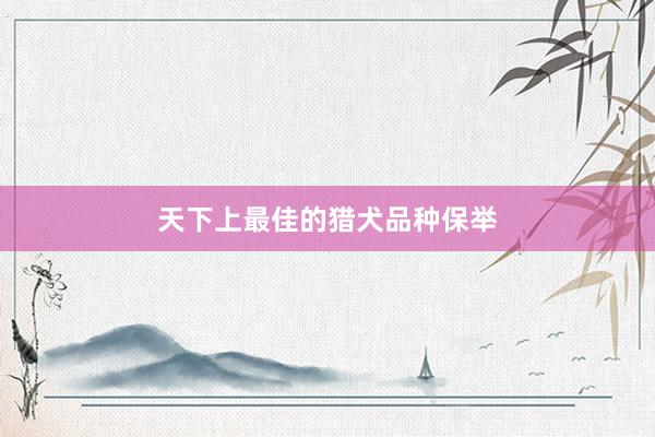 天下上最佳的猎犬品种保举