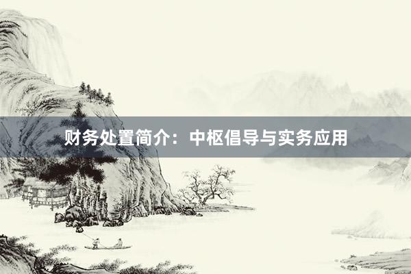 财务处置简介:中枢倡导与实务应用